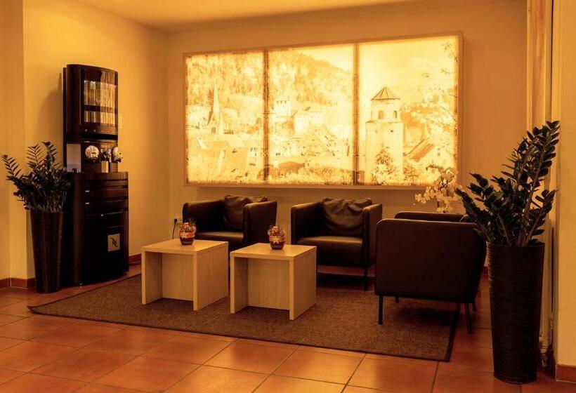 Central Hotel Löwen