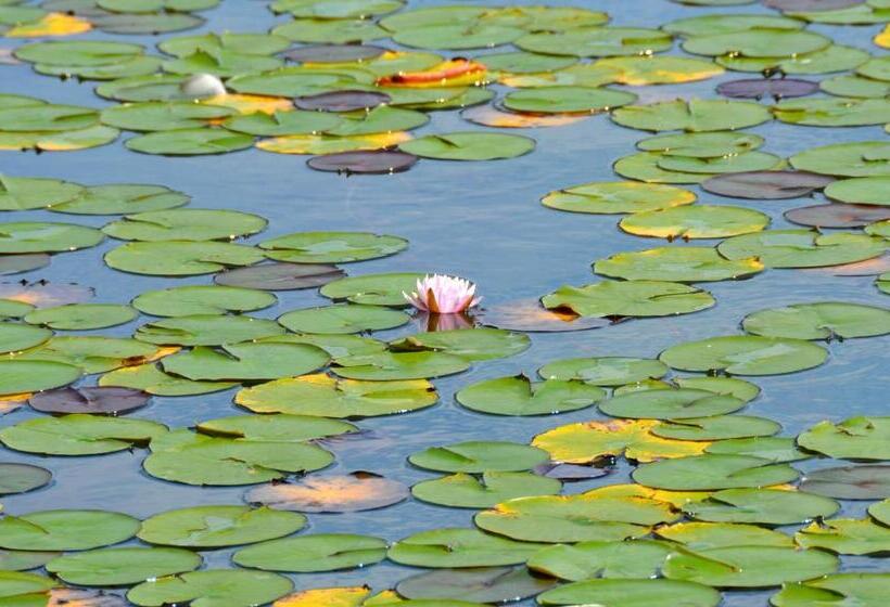 Dermuth Hotels – Hotel Sonnengrund