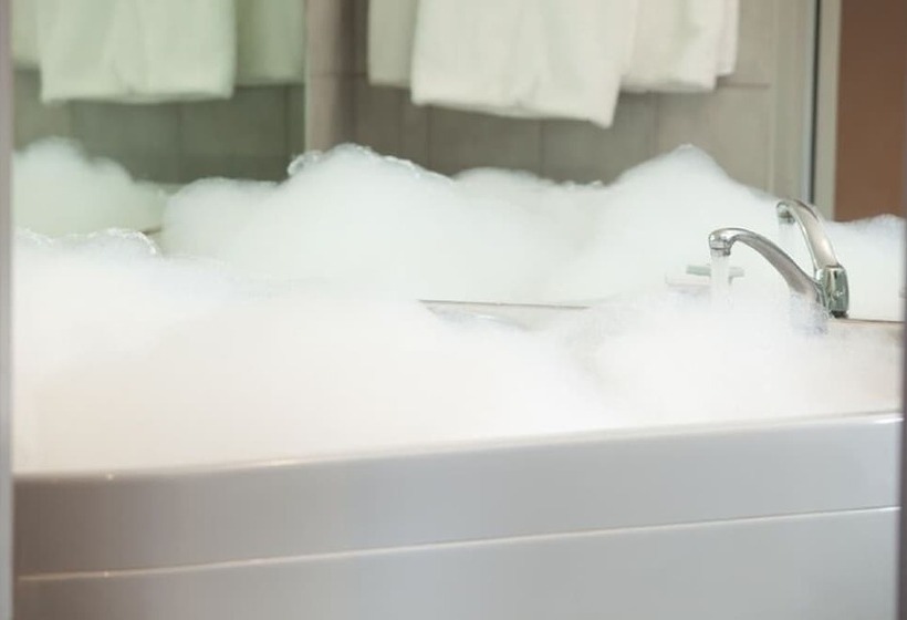 فندق Adelaide Royal Coach