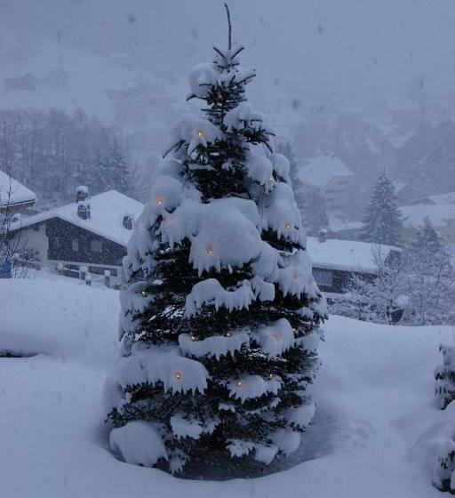 酒店 Alpenhof Messmer