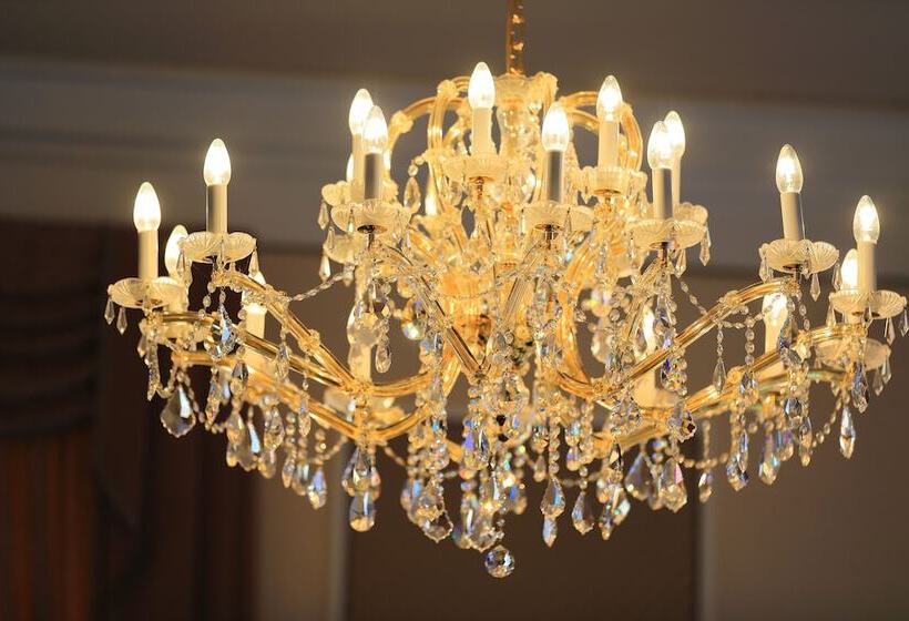 酒店 Bellevue Wien