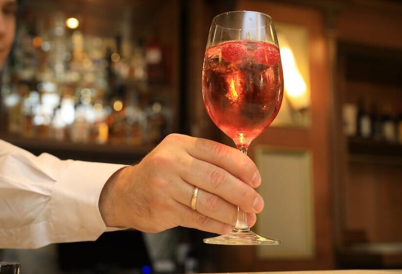 酒店 Bellevue Wien