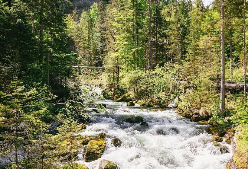 ホテル Berg Hinterstoder