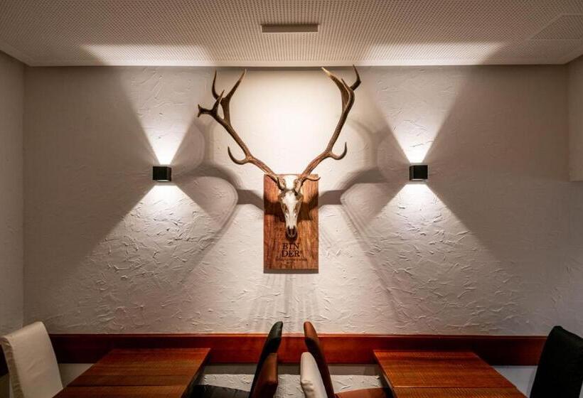 ホテル Binders Budget Citymountain