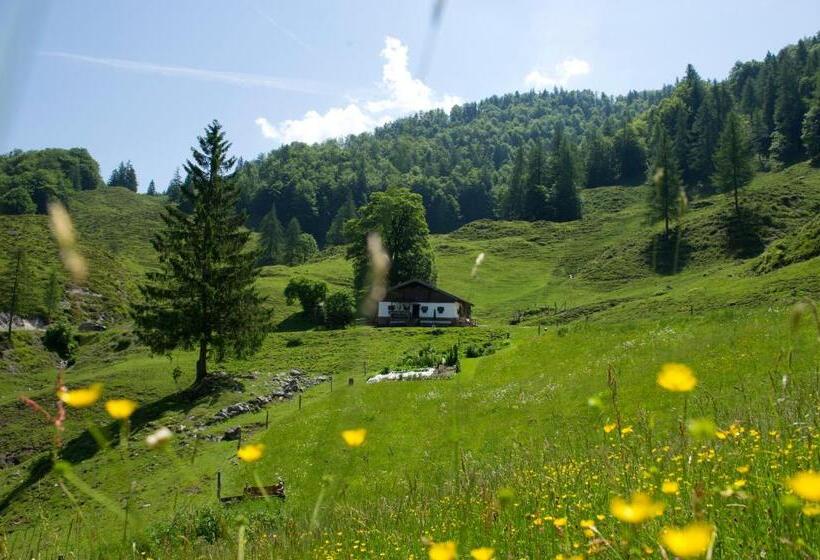 Отель Classic Rooms By Crystal