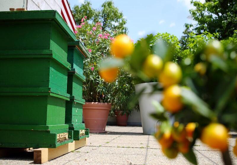 هتل Daniel Graz   Smart Luxury Near City Centre