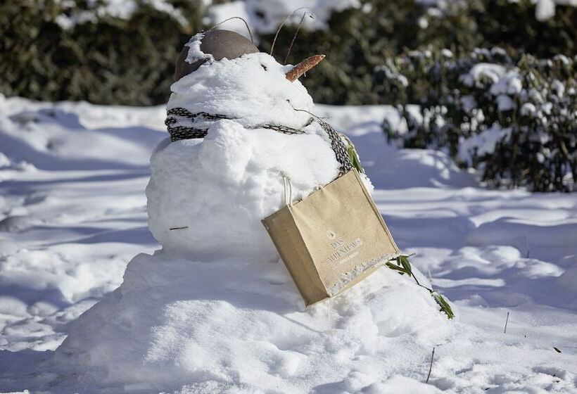 호텔 Das Alpenhaus Gasteinertal