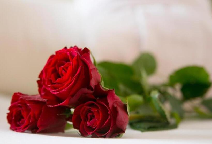 ホテル Der Kleinwalsertaler Rosenhof