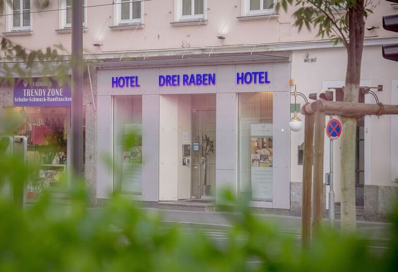 호텔 Drei Raben