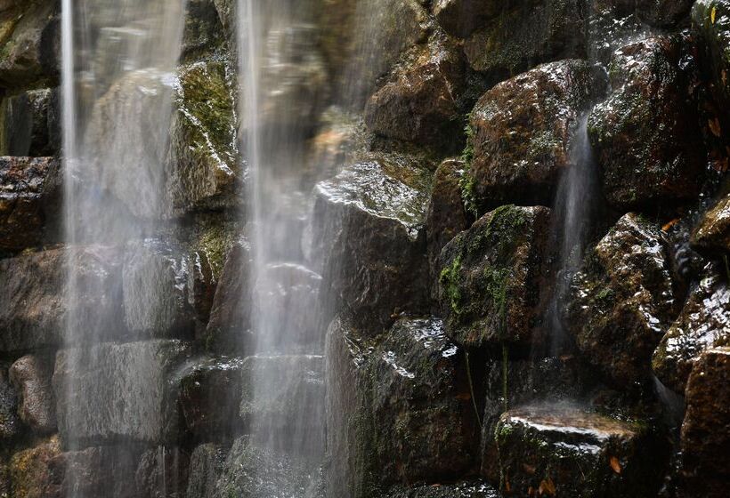 Erika Boutiquehotel Kitzbühel