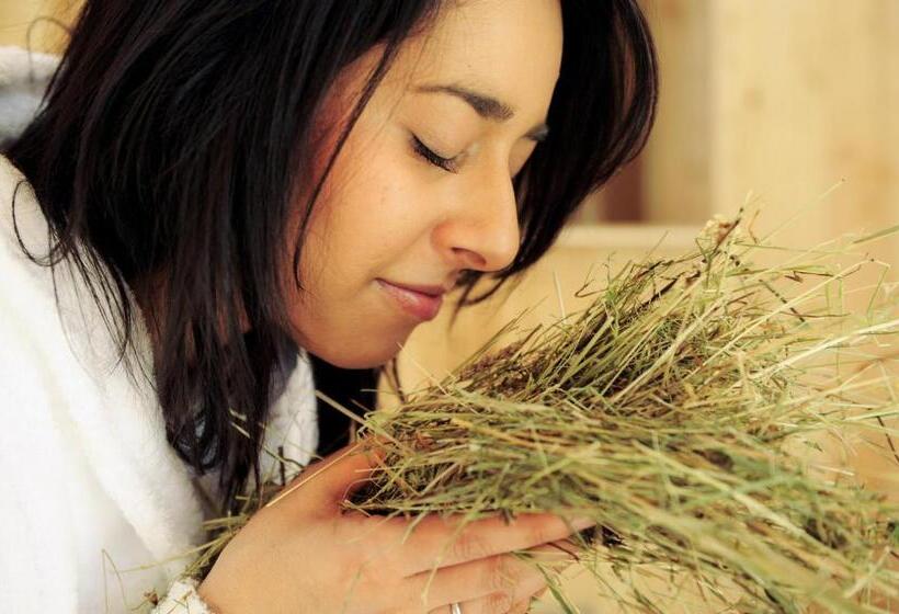 Der Stern   Nachhaltiges Wirtshaus Und Landhotel Seit 1509