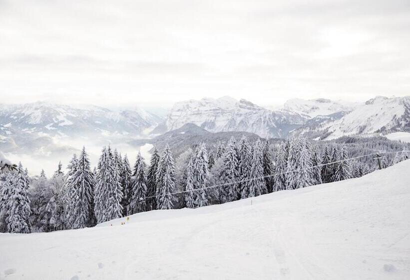 Hirschen   Fine Hotel, Restaurant & Spa