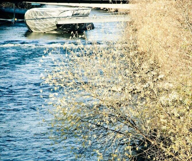 فندق Grand Hôtel Wiesler   Centre Of Graz