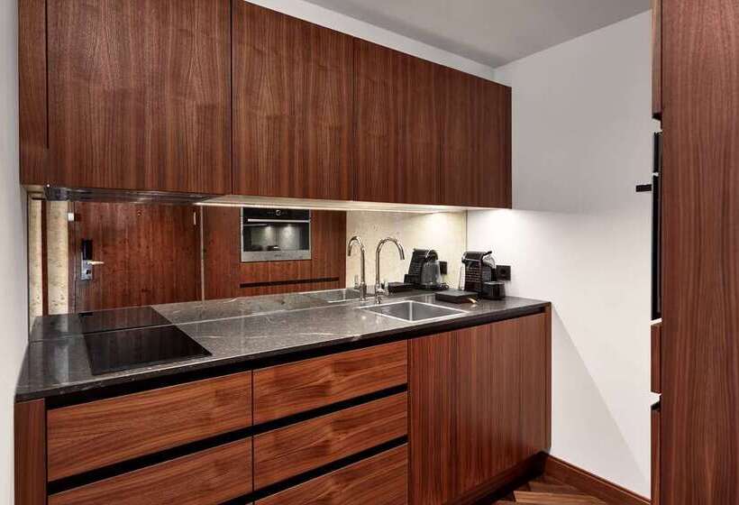 酒店 Hilton Vienna Park