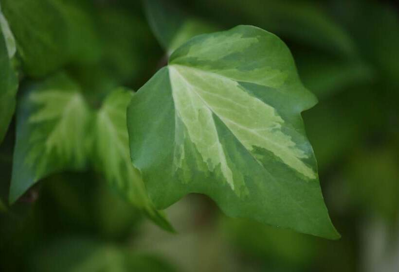 هتل Holiday Inn Vienna City, An Ihg