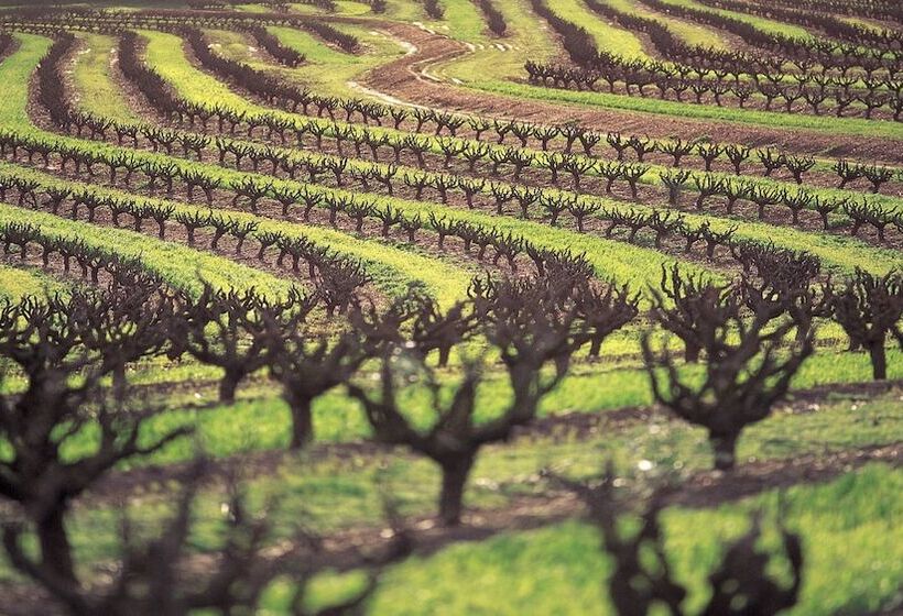 Отель Intercontinental Adelaide, An Ihg