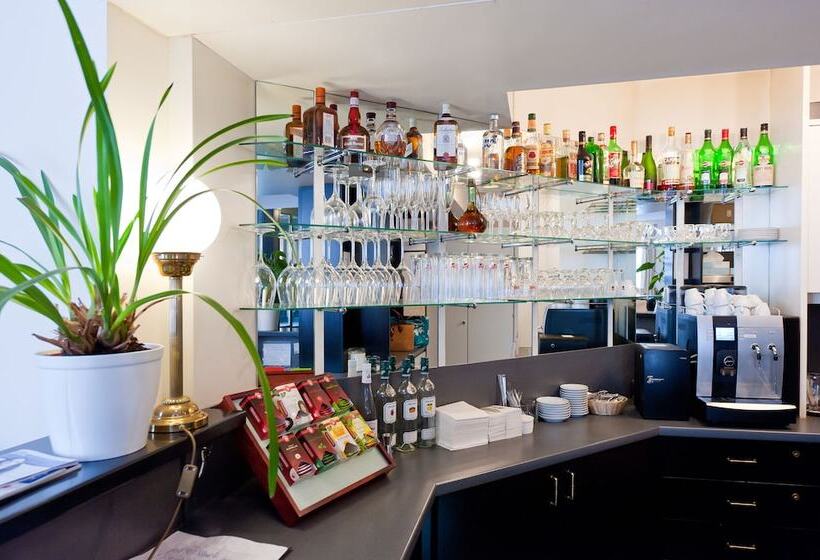 هتل Johann Strauss