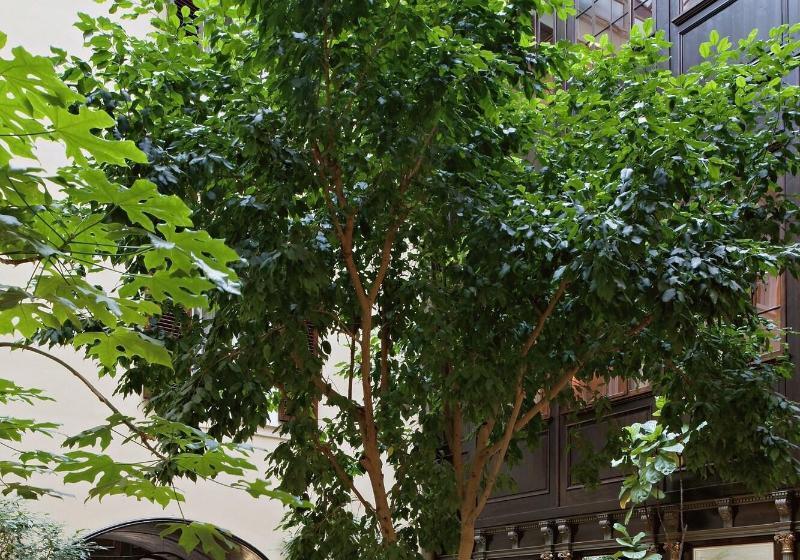 호텔 Konig Von Ungarn