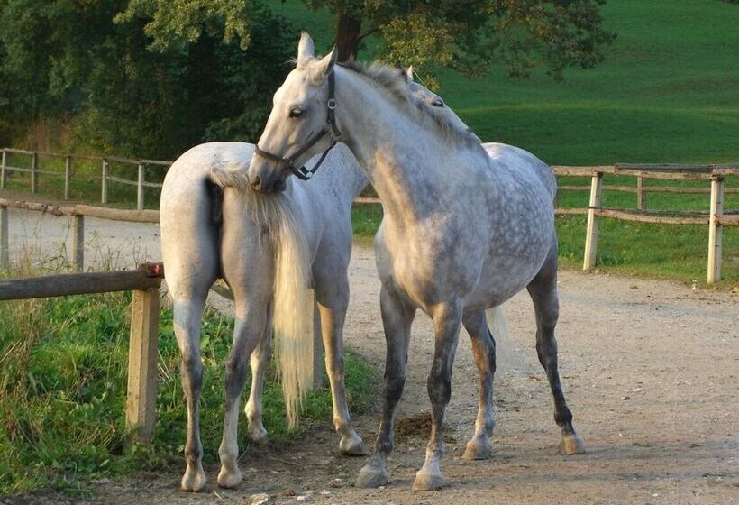 فندق Liebesnesterl Bergwirt   Boutique