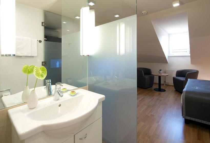 Отель Maximilian  Stadthaus Penz