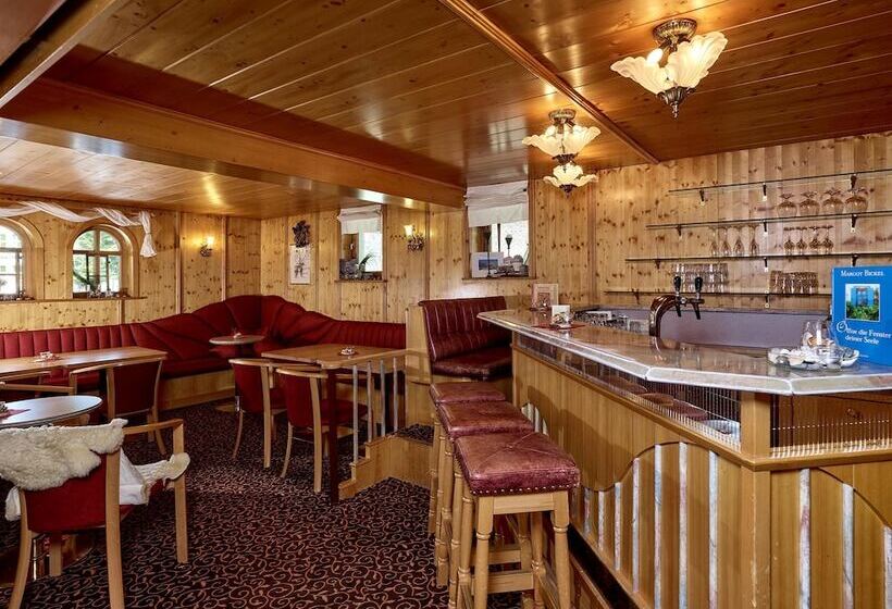 酒店 Monika & Montafon Chalets