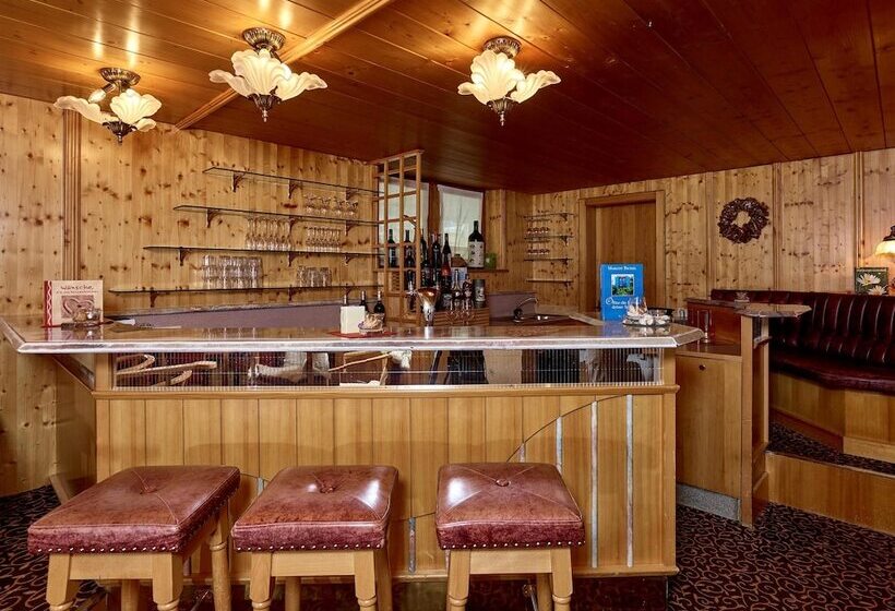 酒店 Monika & Montafon Chalets