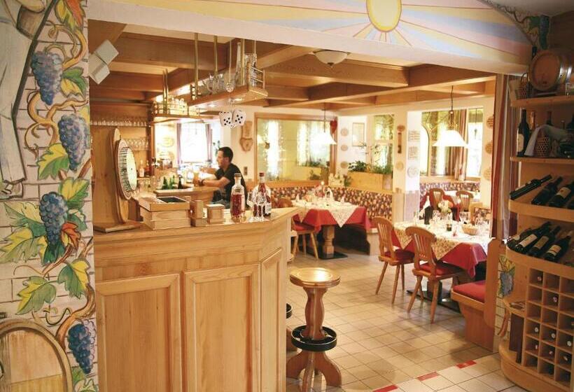 هتل Naggler Weissbriach