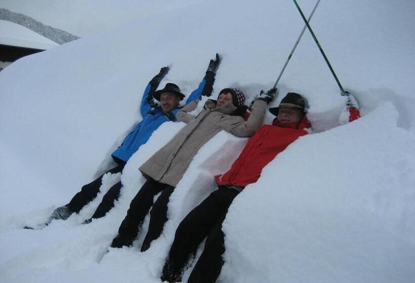 هتل Naggler Weissbriach