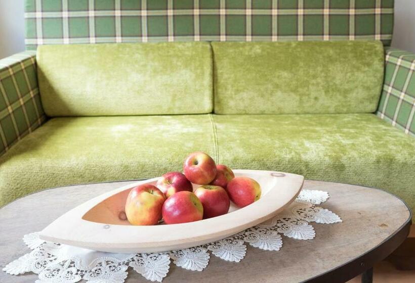 호텔 Alpbacherhof Mountain & Spa Resort