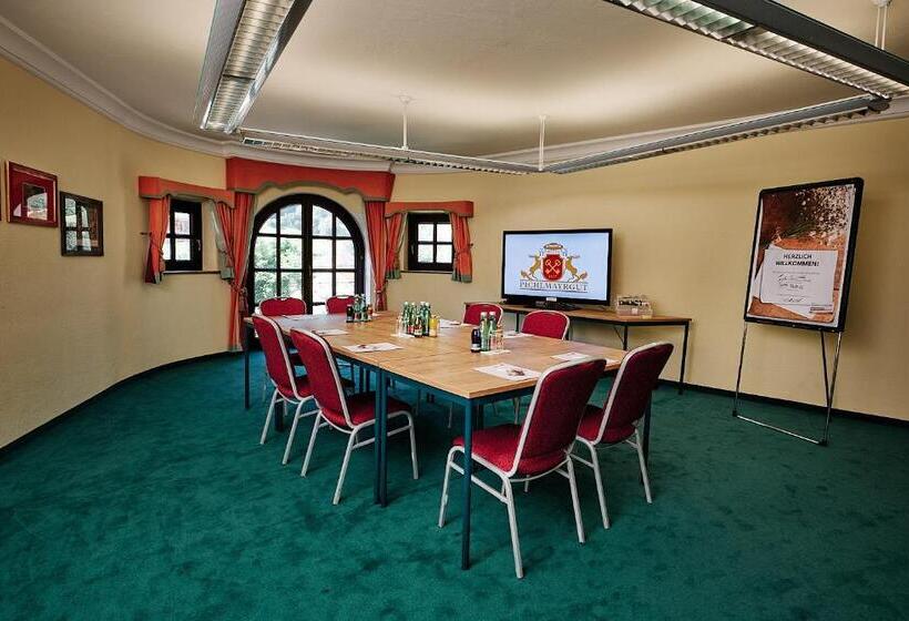 Отель Pichlmayrgut