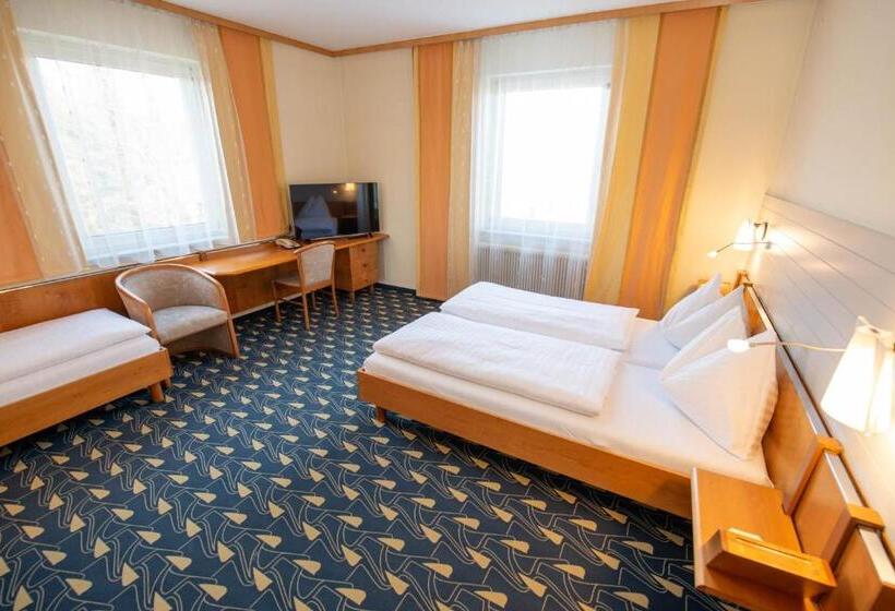 בית מלון כפרי Rokohof