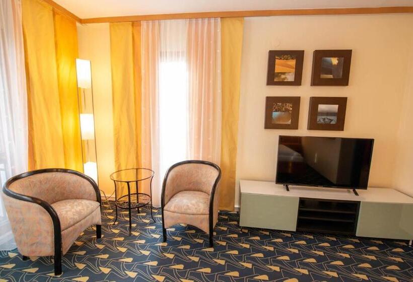 בית מלון כפרי Rokohof