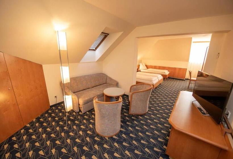 בית מלון כפרי Rokohof