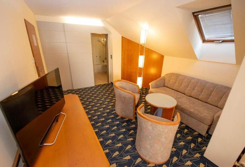 בית מלון כפרי Rokohof