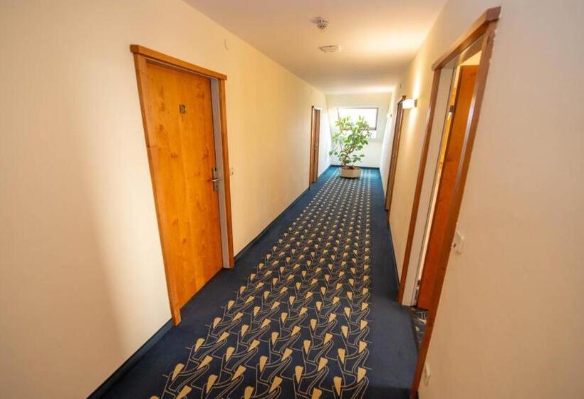 בית מלון כפרי Rokohof