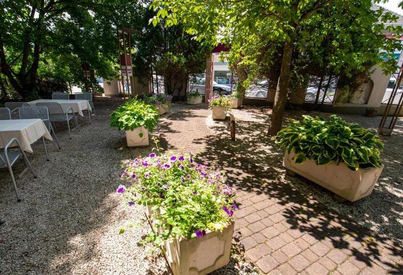 בית מלון כפרי Rokohof