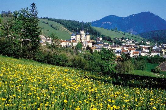 ホテル Schwarzer Adler