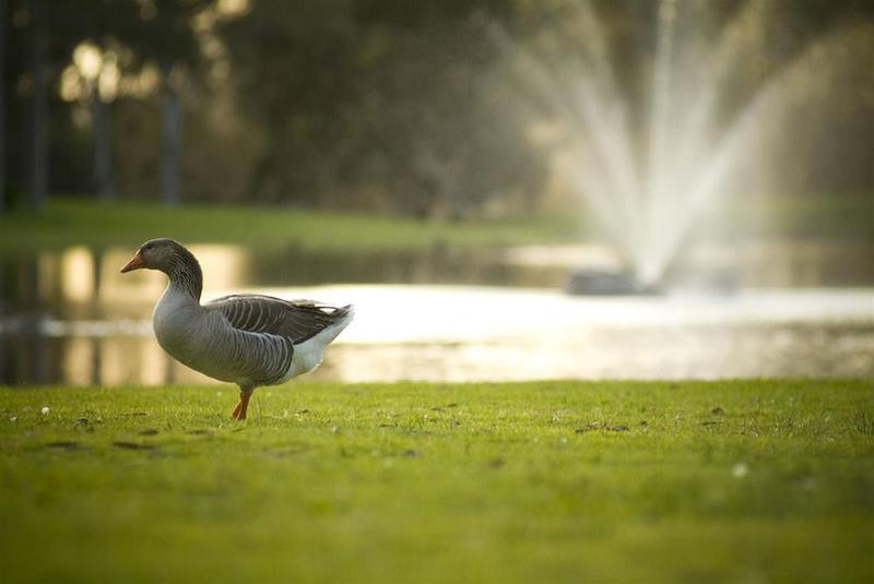 فندق Serafino Mclaren Vale