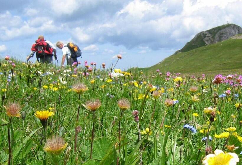 Spa Hotel Erzherzog Johann