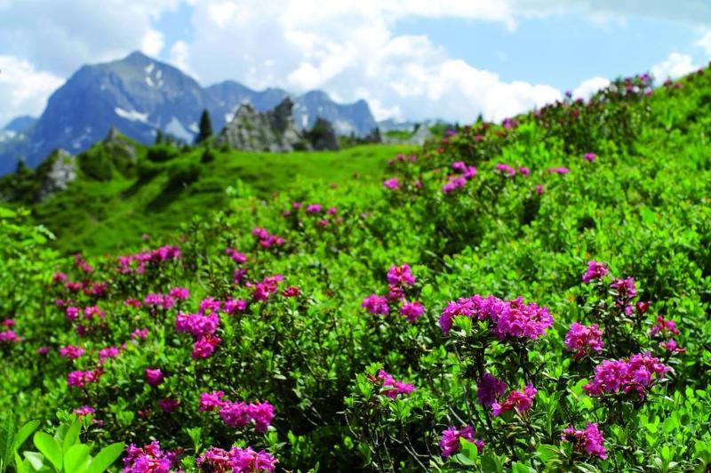 Отель Tannbergerhof Im Zentrum Von Lech