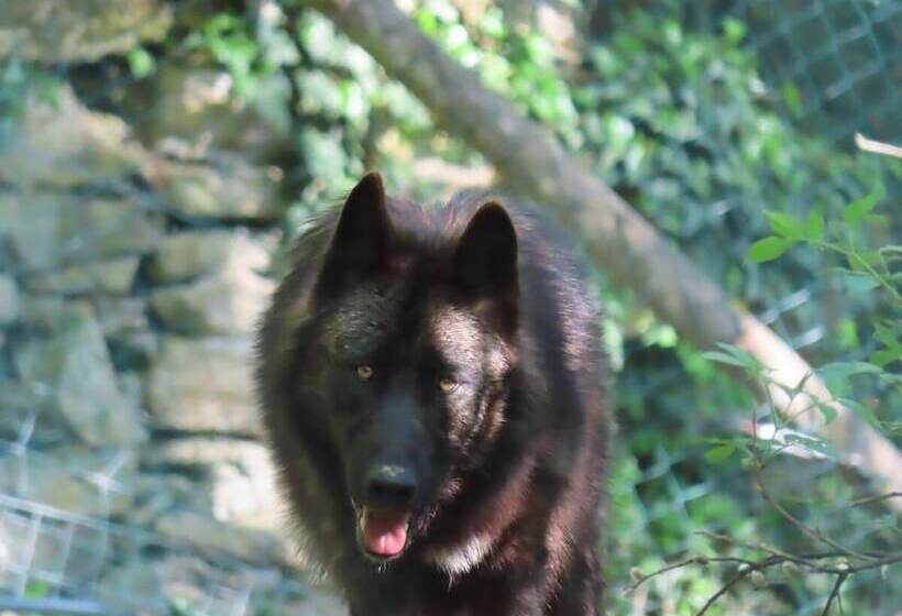 בית מלון כפרי Vier Jahreszeiten Loipersdorf