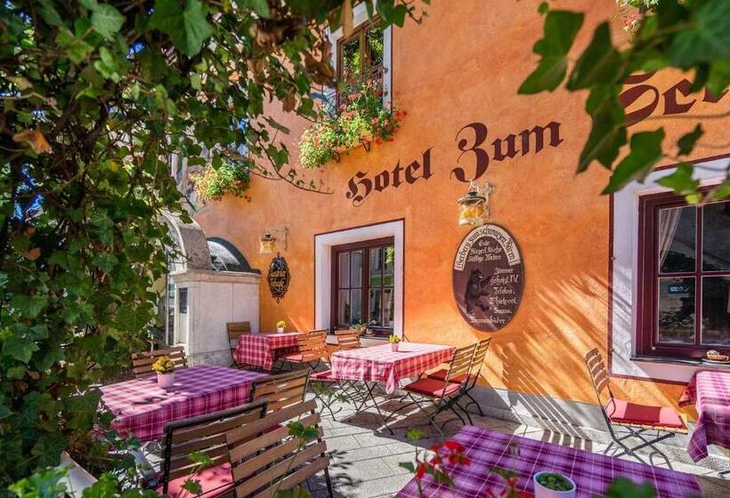 فندق Zum Schwarzen Bären