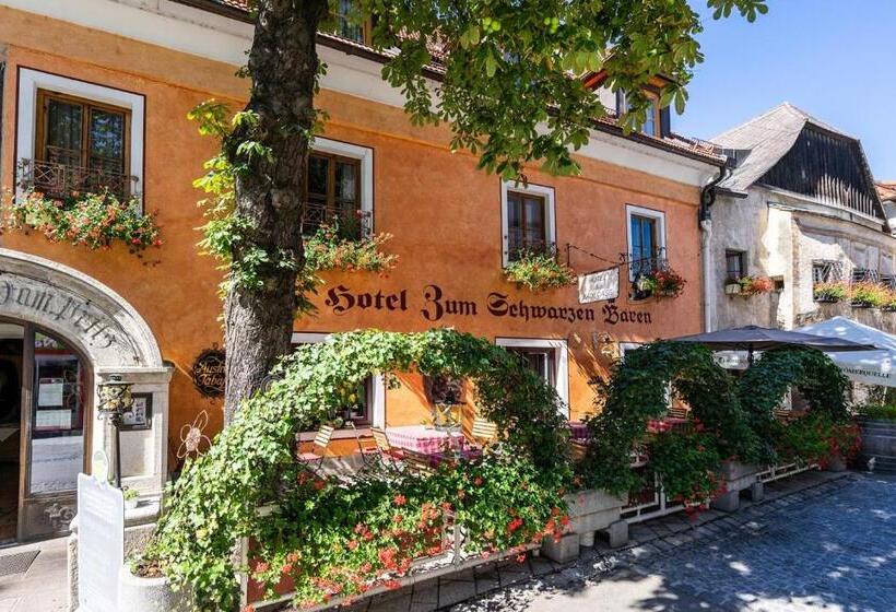 فندق Zum Schwarzen Bären
