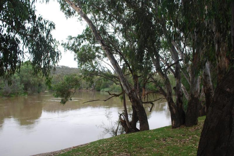 Hume Inn Motel Albury Cbd