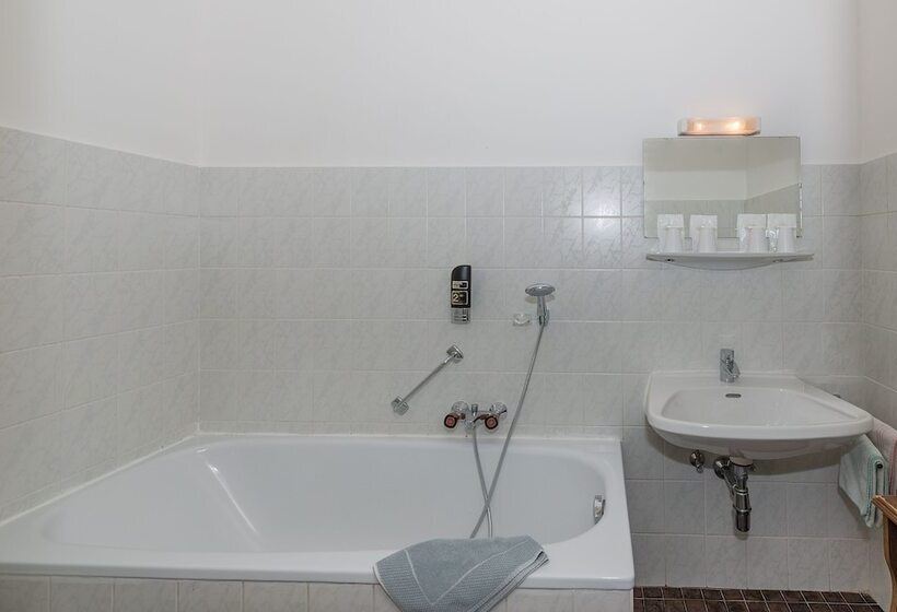 Pension Dr. Geissler