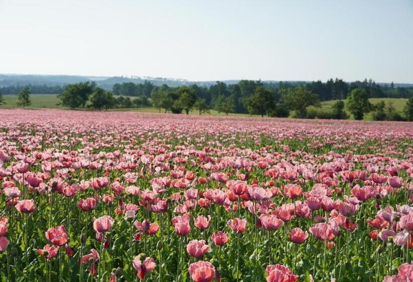 Schlosshotel Rosenau Superior