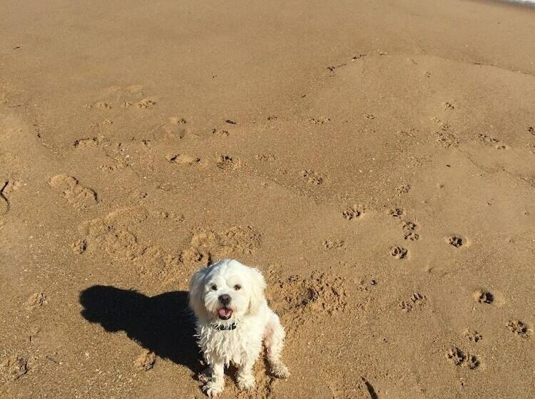 Admiral Motel Bunbury