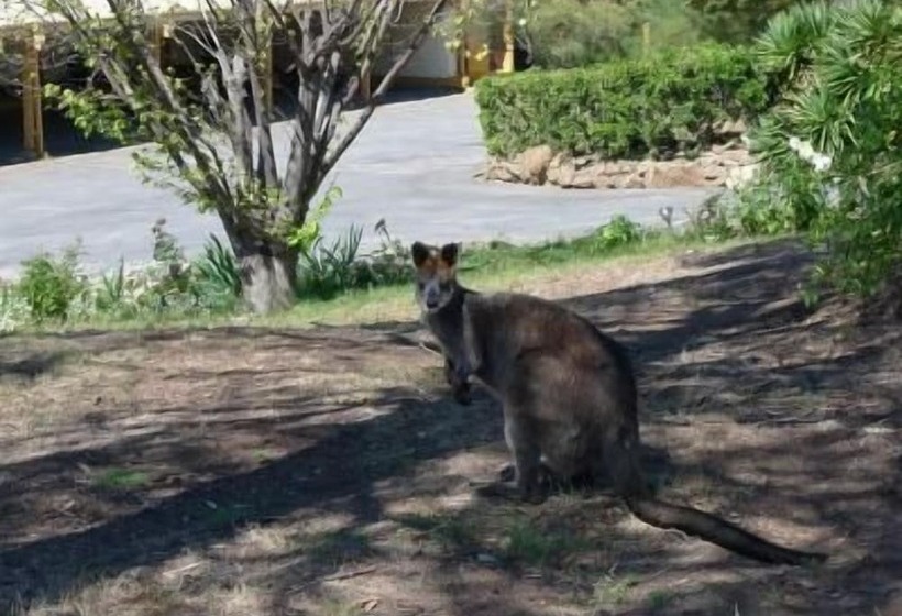 Cooma High Country Motel