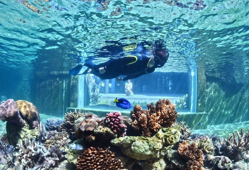 Daydream Island Resort