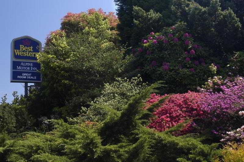 בית מלון כפרי Alpine Motor Inn